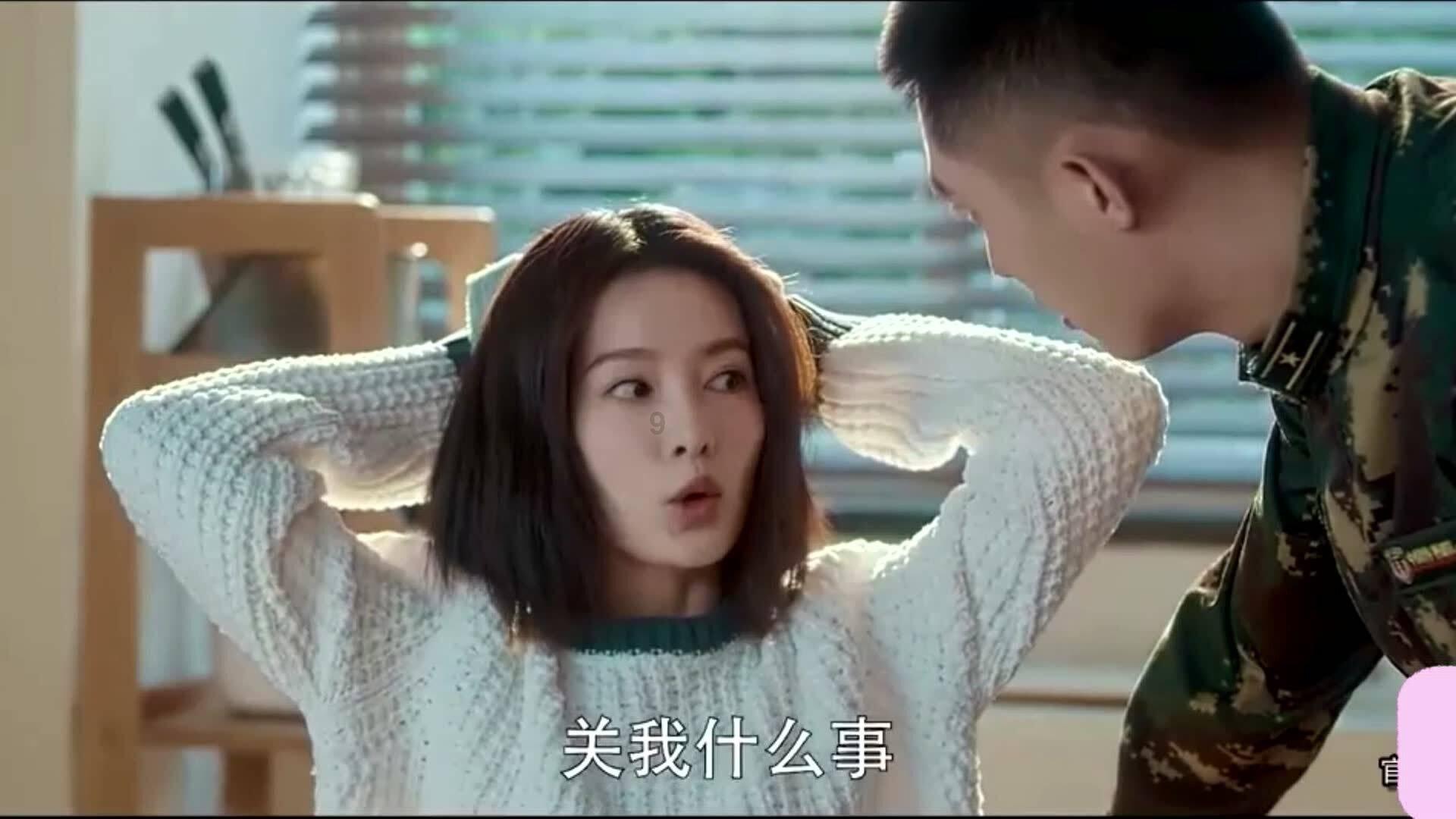 可爱的小考拉